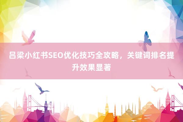 吕梁小红书SEO优化技巧全攻略，关键词排名提升效果显著