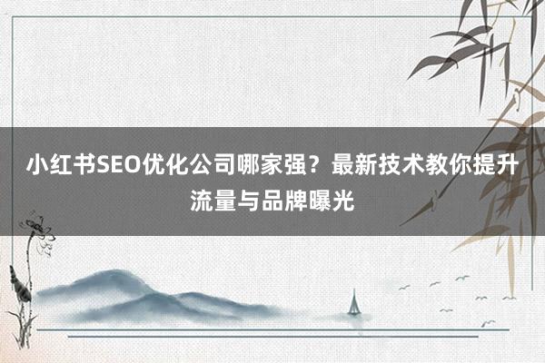 小红书SEO优化公司哪家强？最新技术教你提升流量与品牌曝光