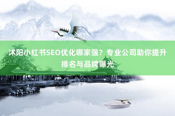 沭阳小红书SEO优化哪家强？专业公司助你提升排名与品牌曝光