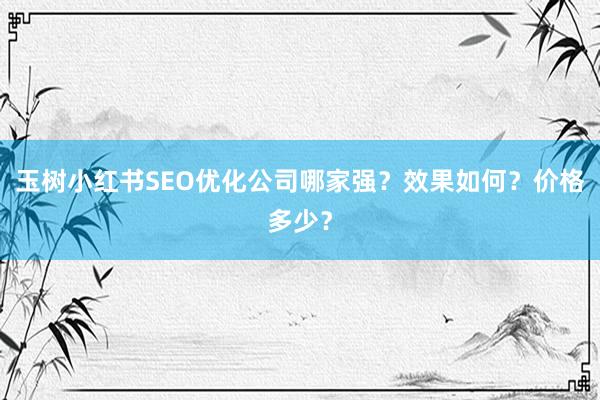 玉树小红书SEO优化公司哪家强？效果如何？价格多少？