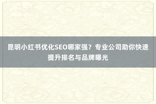 昆明小红书优化SEO哪家强？专业公司助你快速提升排名与品牌曝光