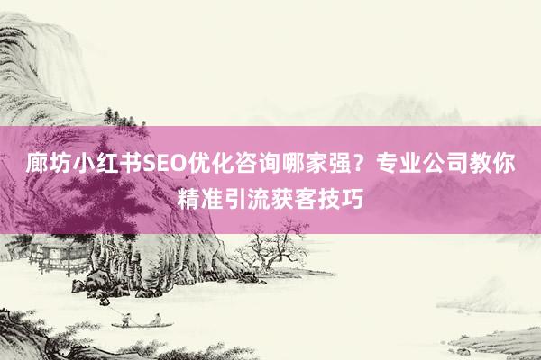 廊坊小红书SEO优化咨询哪家强？专业公司教你精准引流获客技巧