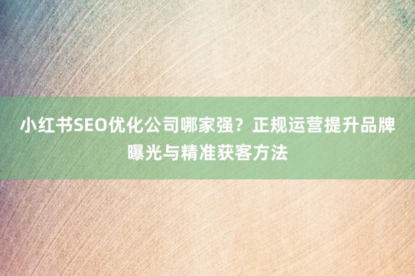 小红书SEO优化公司哪家强？正规运营提升品牌曝光与精准获客方法