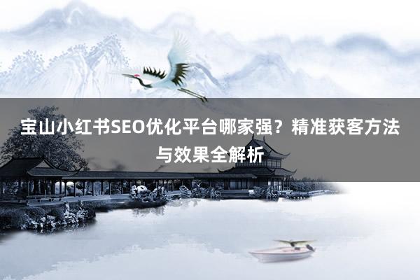 宝山小红书SEO优化平台哪家强？精准获客方法与效果全解析
