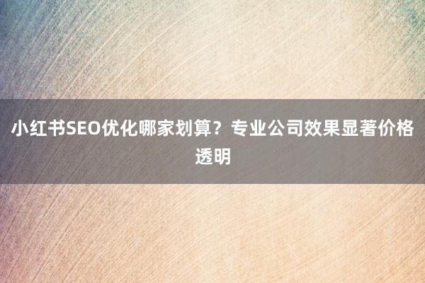 小红书SEO优化哪家划算？专业公司效果显著价格透明