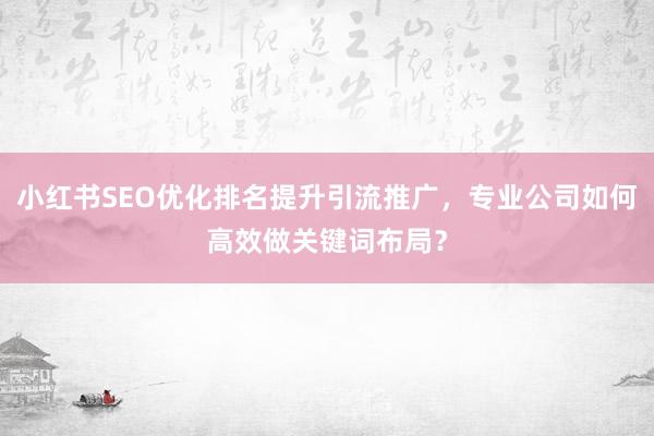 小红书SEO优化排名提升引流推广，专业公司如何高效做关键词布局？