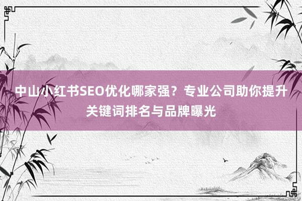 中山小红书SEO优化哪家强？专业公司助你提升关键词排名与品牌曝光