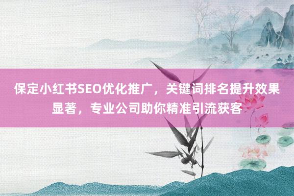保定小红书SEO优化推广，关键词排名提升效果显著，专业公司助你精准引流获客