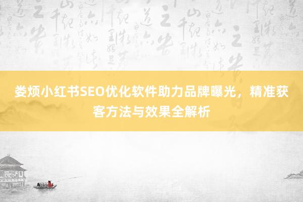娄烦小红书SEO优化软件助力品牌曝光，精准获客方法与效果全解析