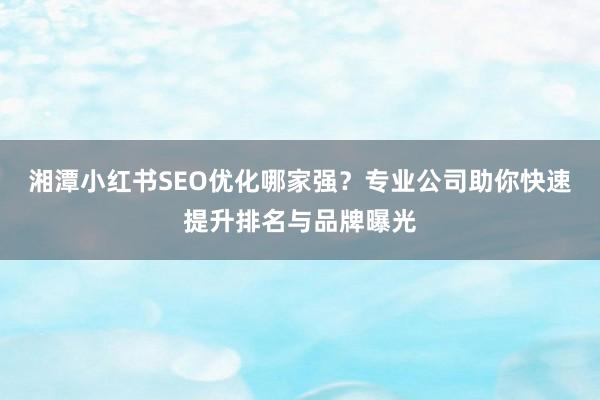 湘潭小红书SEO优化哪家强？专业公司助你快速提升排名与品牌曝光