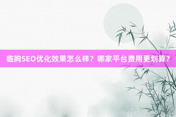 临朐SEO优化效果怎么样？哪家平台费用更划算？