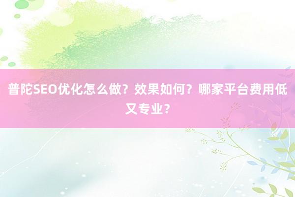 普陀SEO优化怎么做？效果如何？哪家平台费用低又专业？