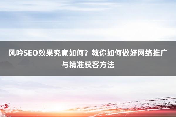 风吟SEO效果究竟如何？教你如何做好网络推广与精准获客方法