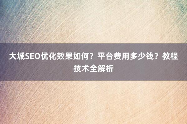 大城SEO优化效果如何？平台费用多少钱？教程技术全解析